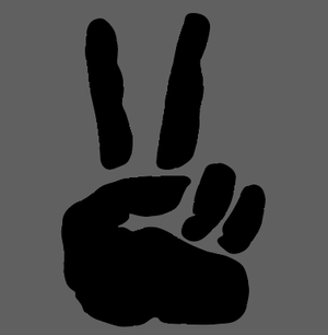 Jeep Wave - REFLECTIVE